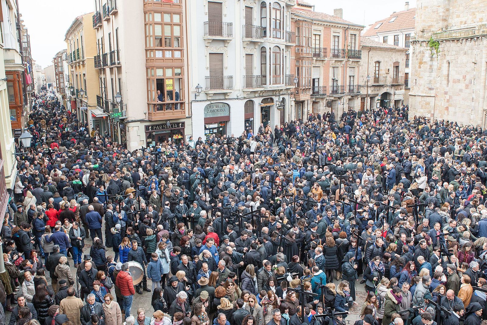 Afluencia de público en Zamora-ICAL
