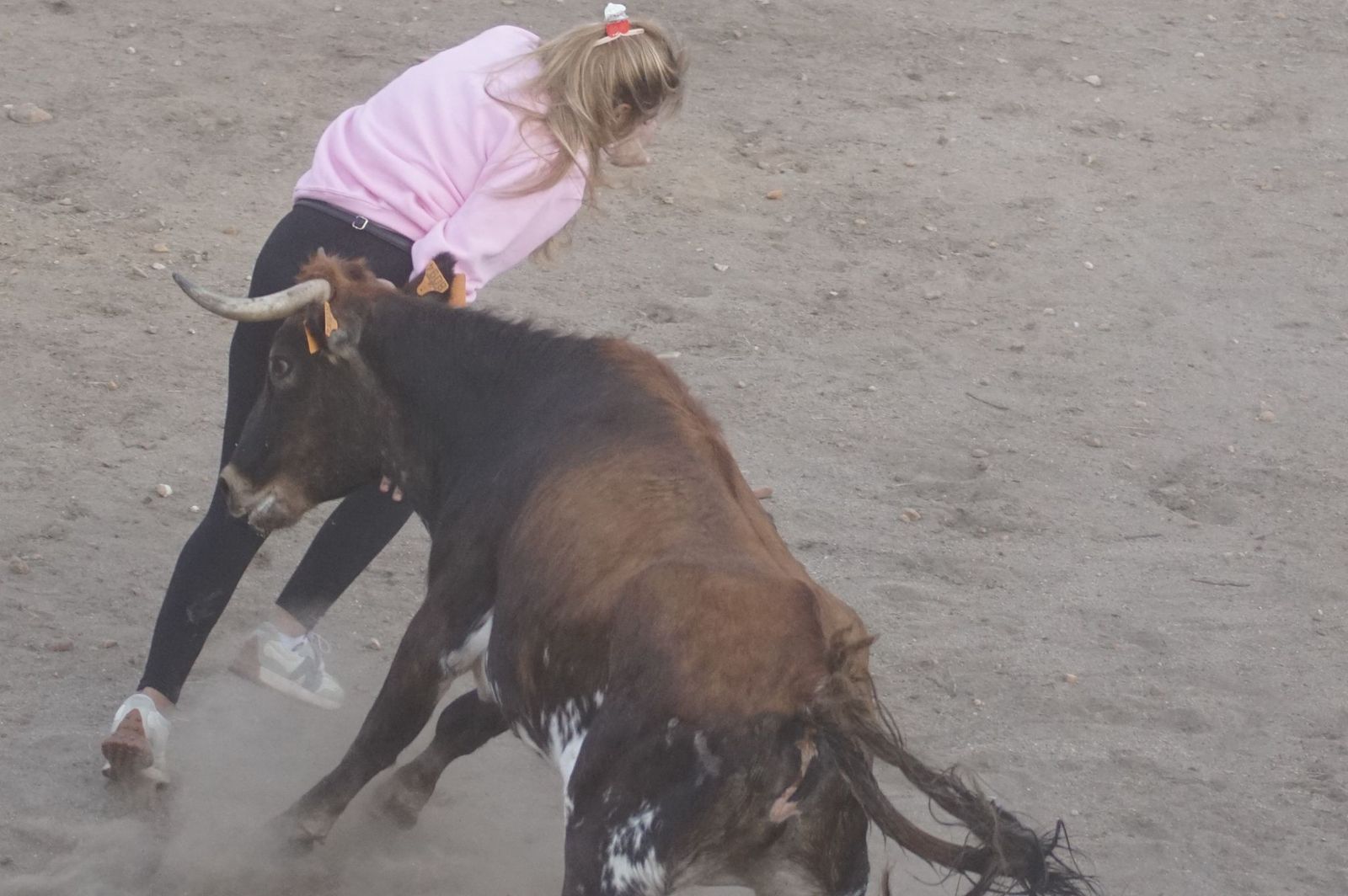 Carreras, risas y tradición: así se ha vivido El Toro en Santa Marta