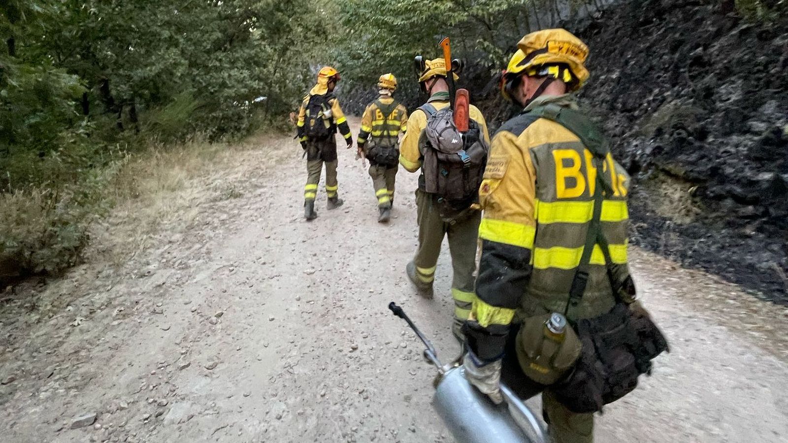 BRIF Daroca en el incendio de Jarilla