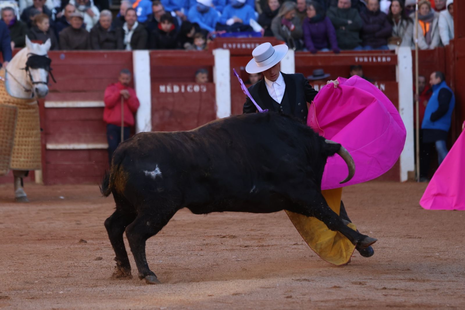 Festival taurino del Sábado en el Carnaval del Toro 2026 de Ciudad Rodrigo