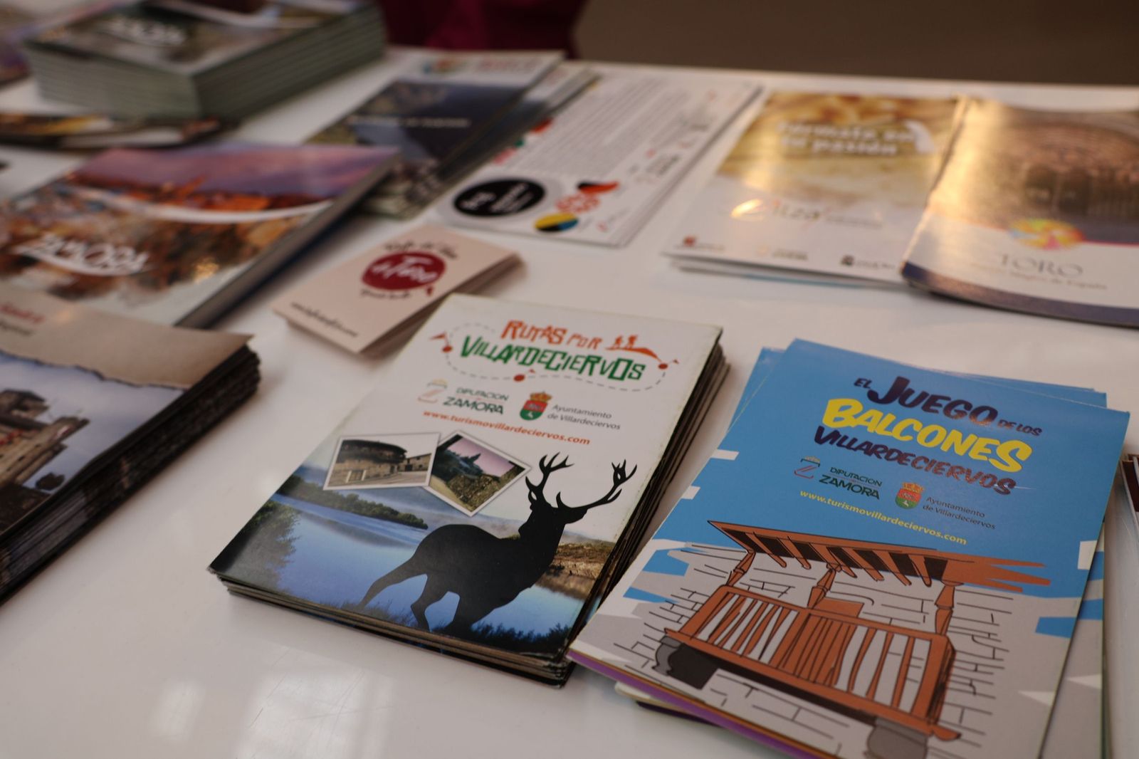 Zamora se presenta en Intur 2025 (2).JPG