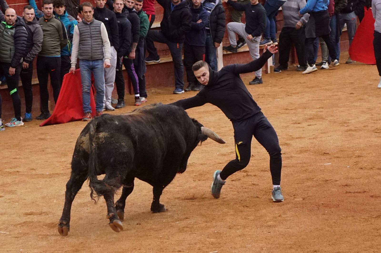 Destacados saltos, quiebros y toreo de capa en la capea del Lunes de Carnaval en Ciudad Rodrigo