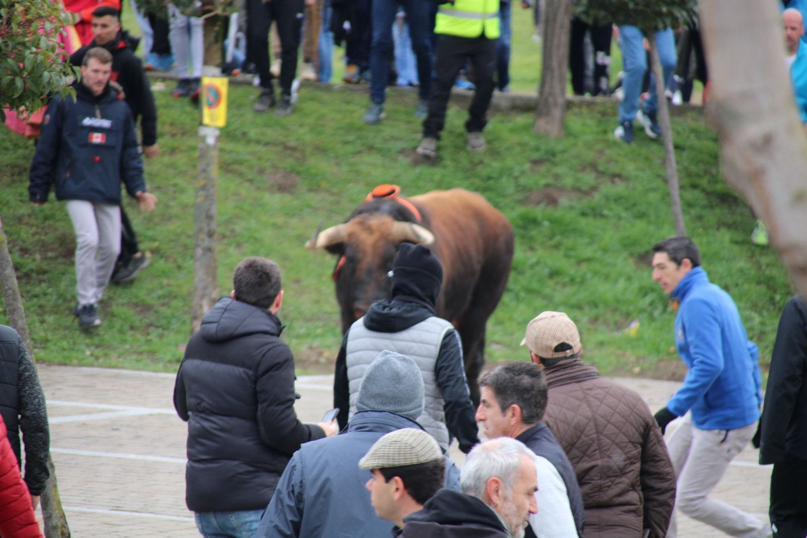 whatsapp-image-2025-03-01-at-11-56-36-1