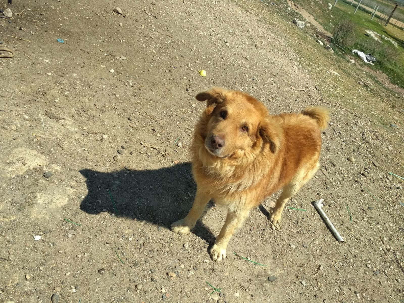 WhatsApp Image 2020 08 31 at 10.33.22