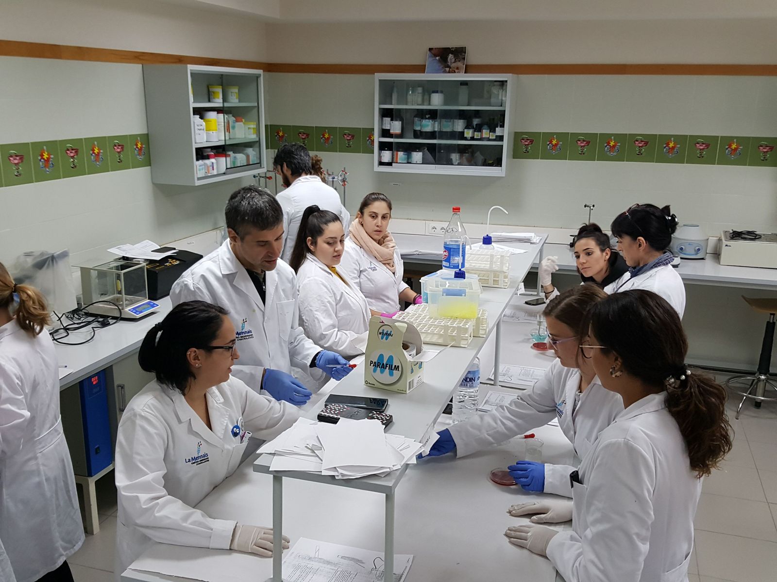 Menesianos Farmacia 2