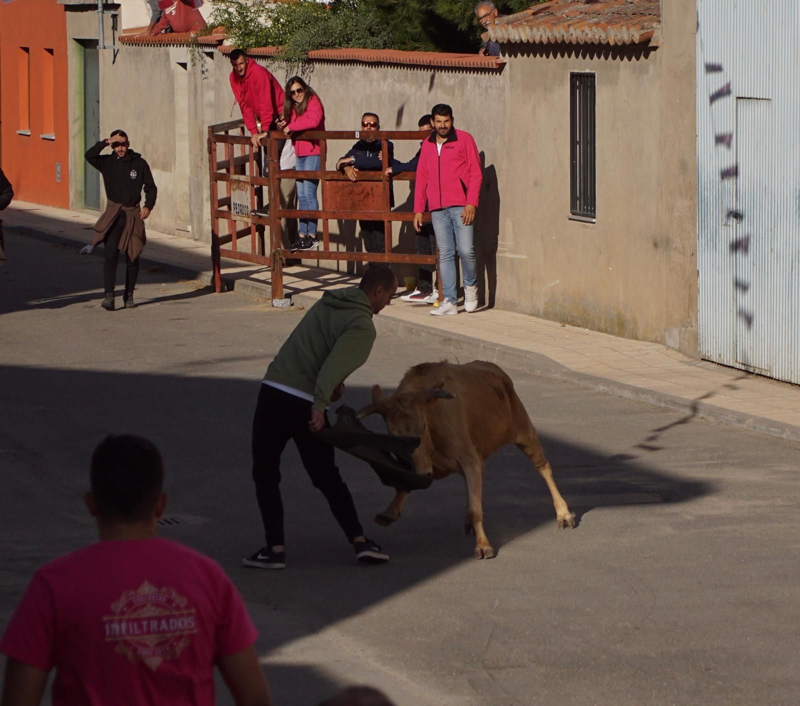 whatsapp-image-2024-09-08-at-14-04-56