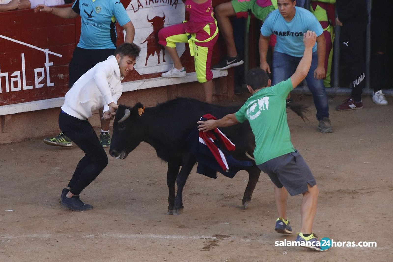 Encierro aldeadavila miercoles (128)
