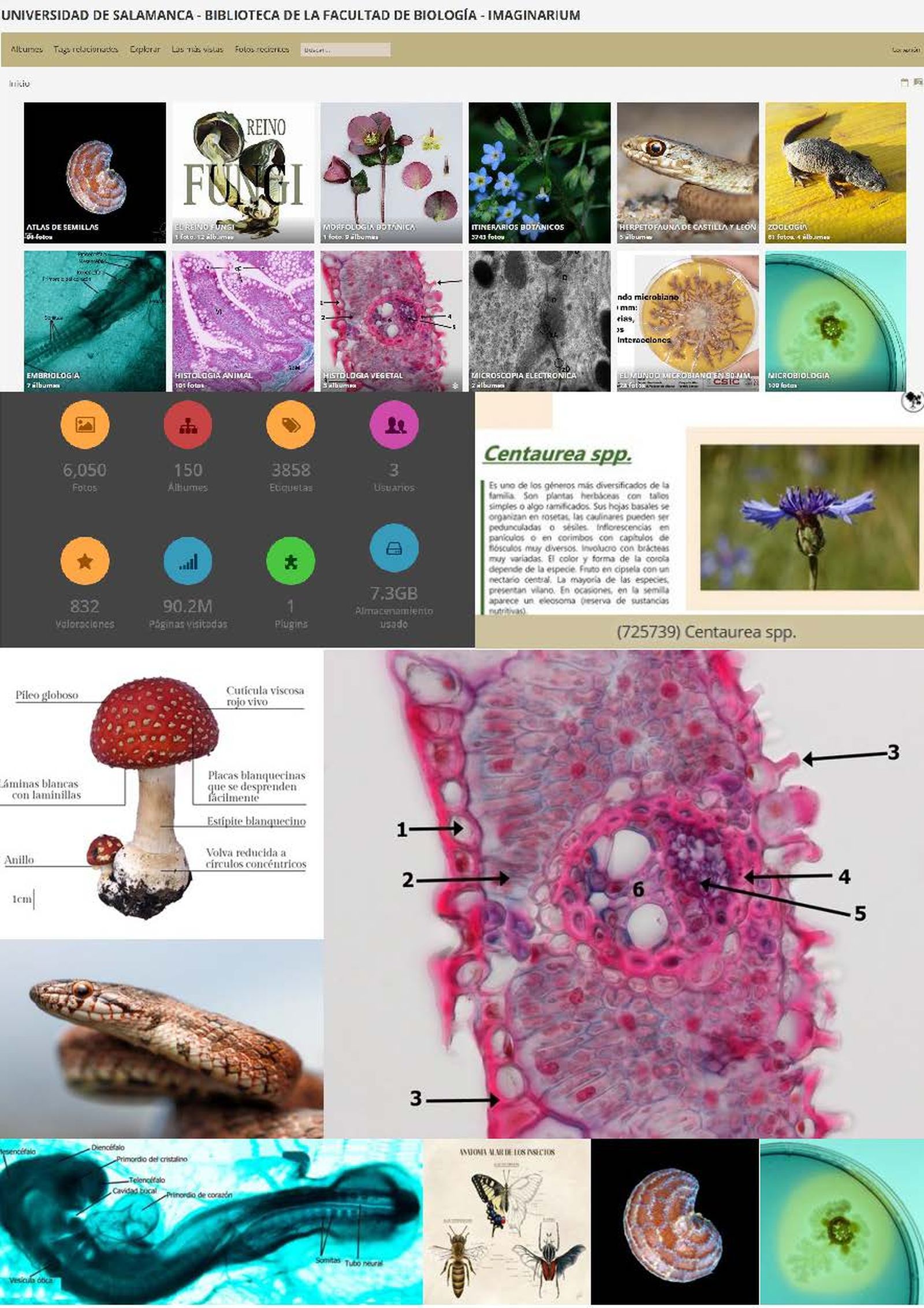 Galería Imaginarium de la Biblioteca de Biología de la USAL