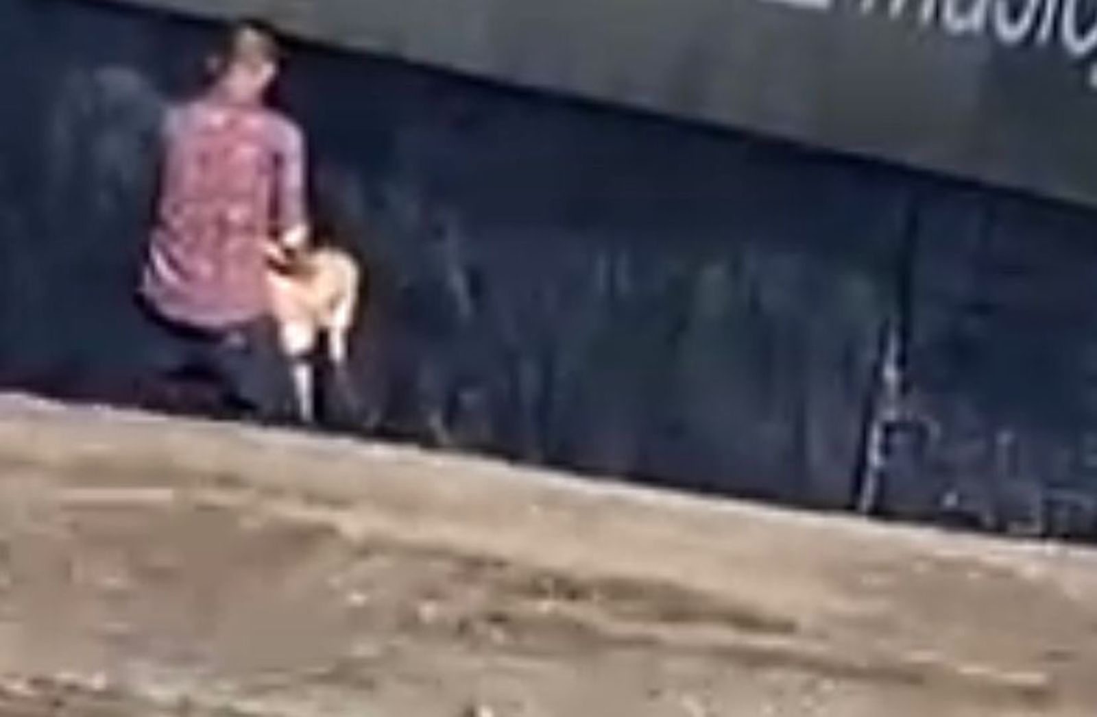 Un isntante del vídeo