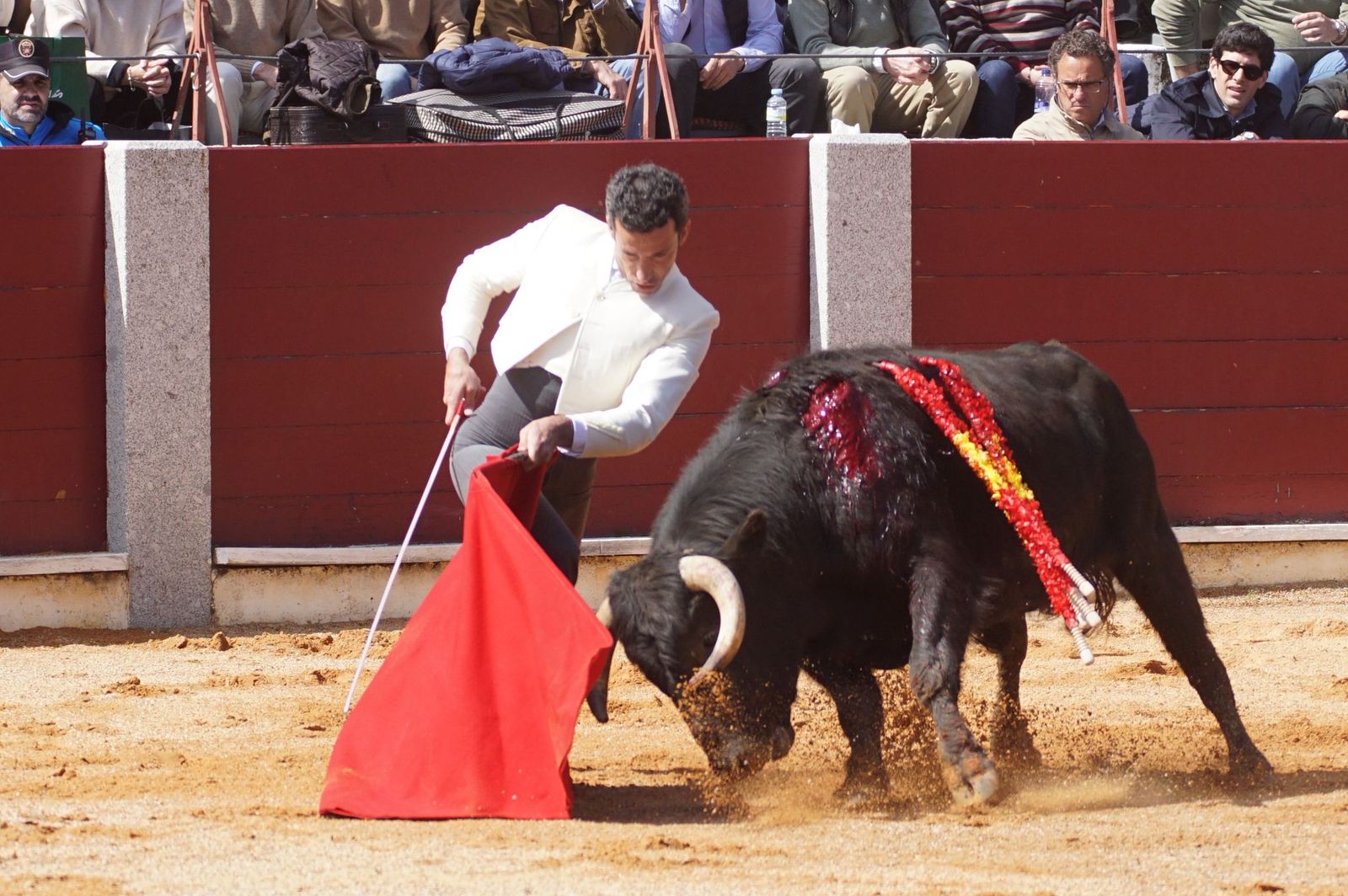 Festival taurino solidario por la esclerosis múltiple en Guijuelo