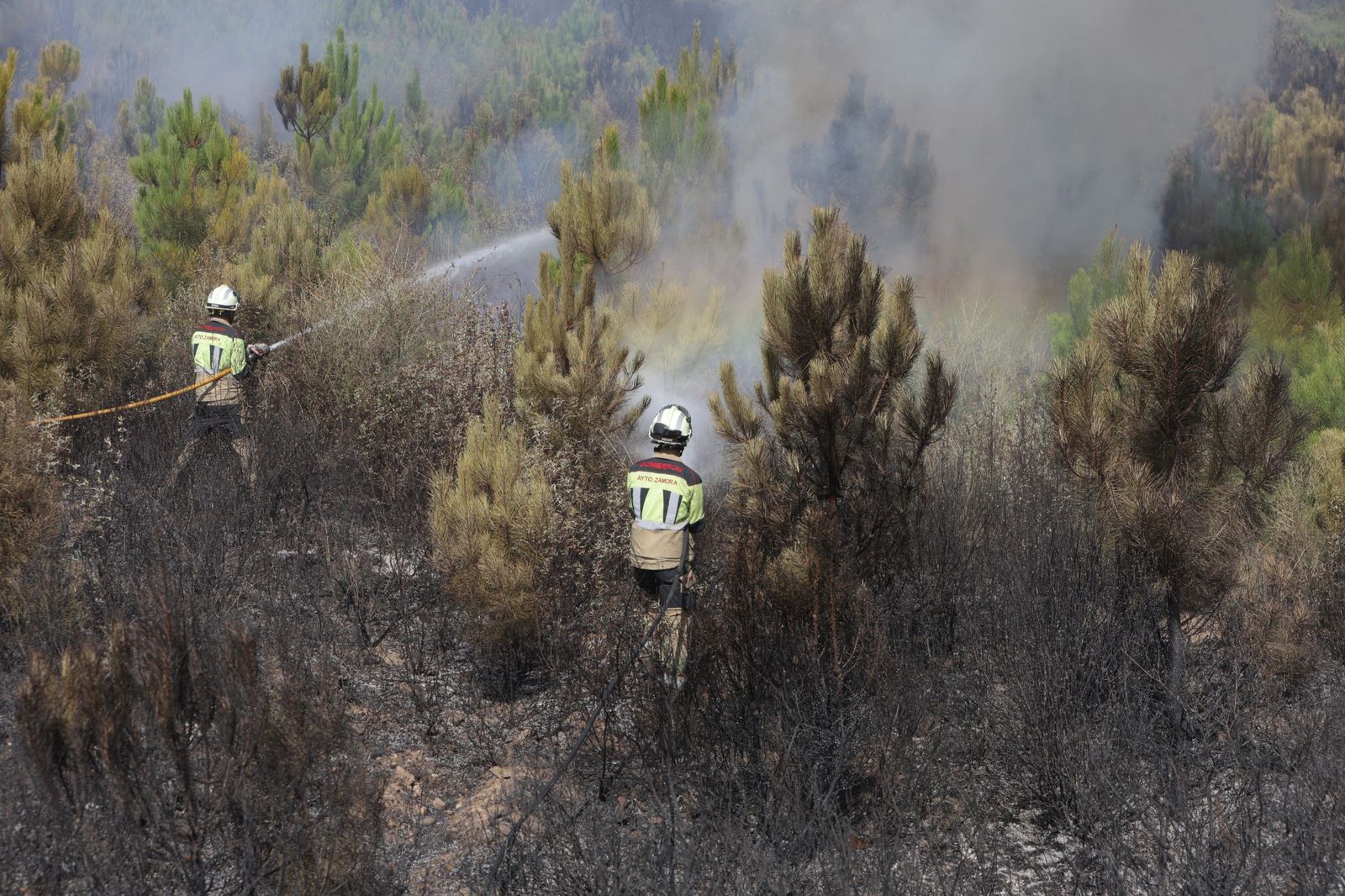 Incendio de Puercas. La situación entre Abejera y Riofrío
