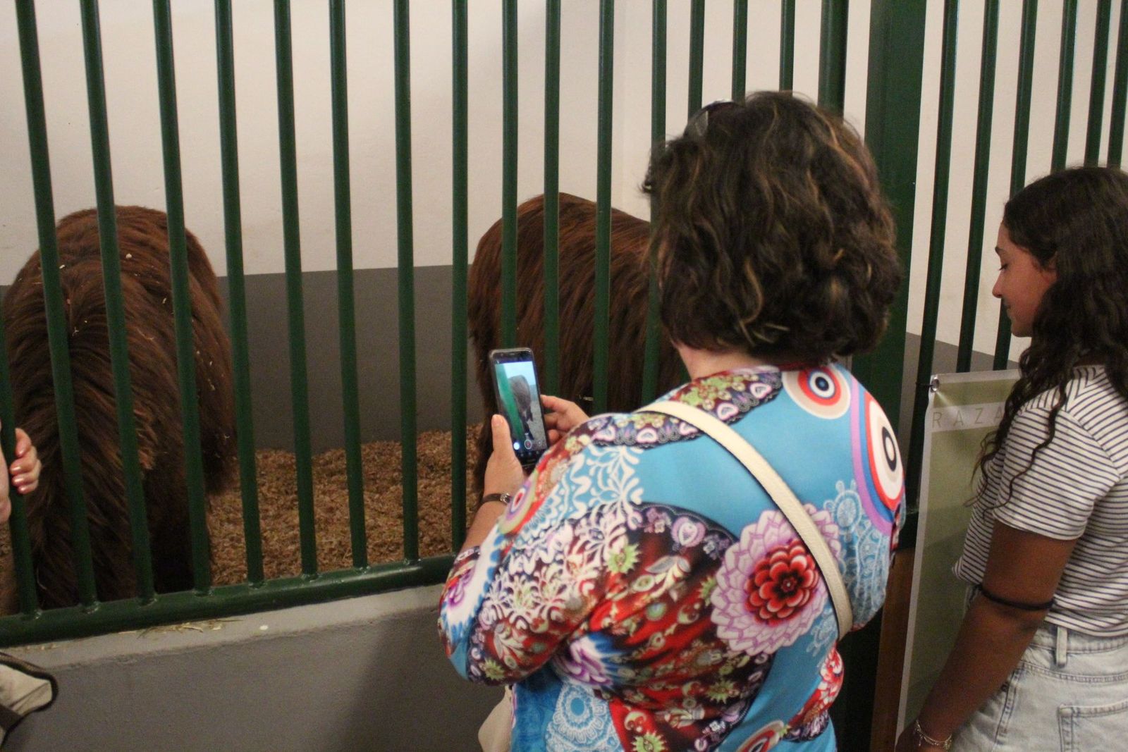 20230904141831-img-7556