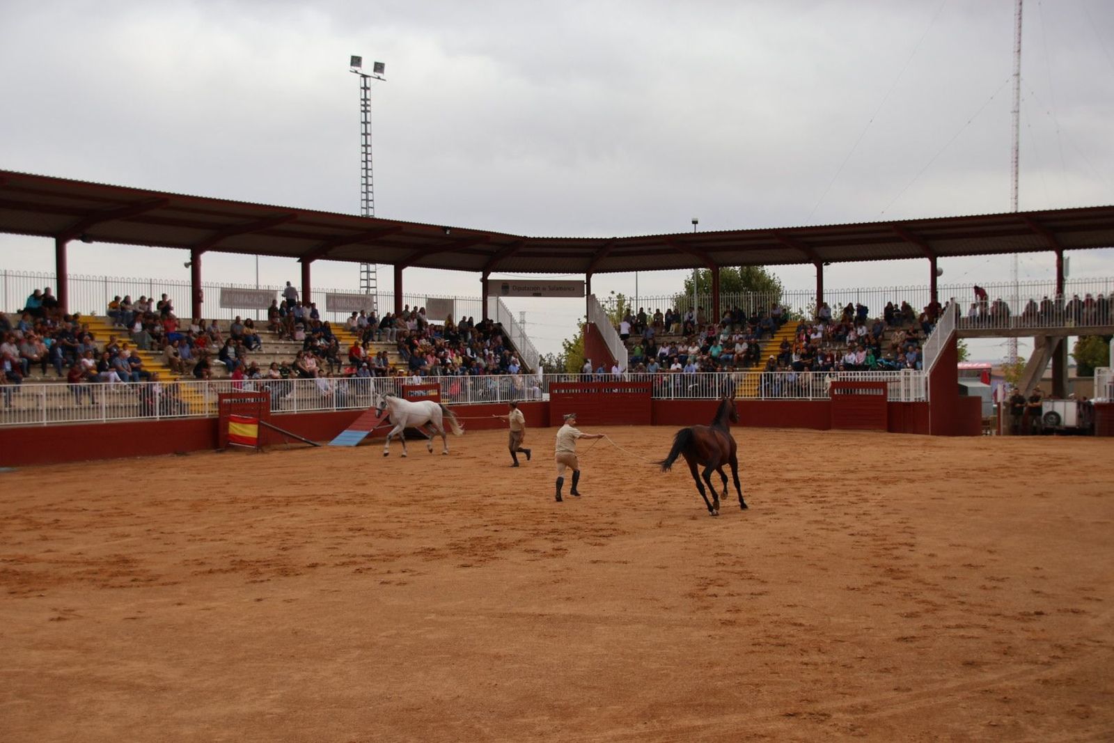 20230902111720-img-7069