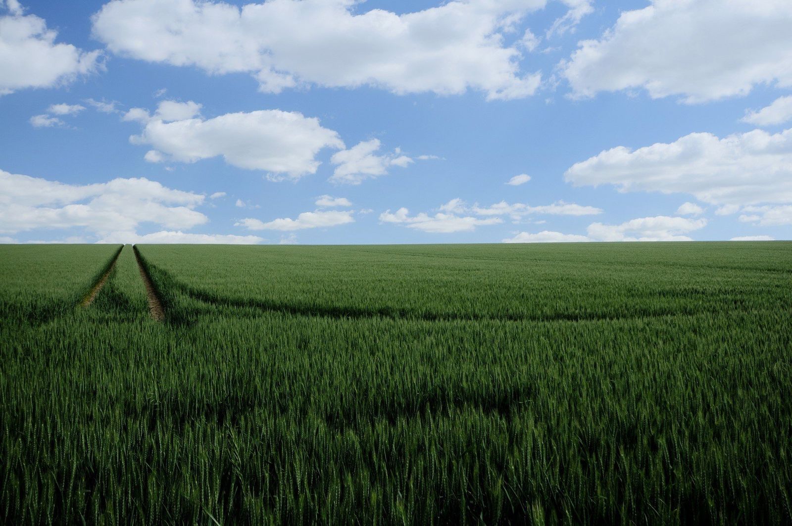 Agricultura abona el anticipo de la PAC más rápido de la historia, con más de 217 millones de euros. - GOBIERNO DE ARAGÓN