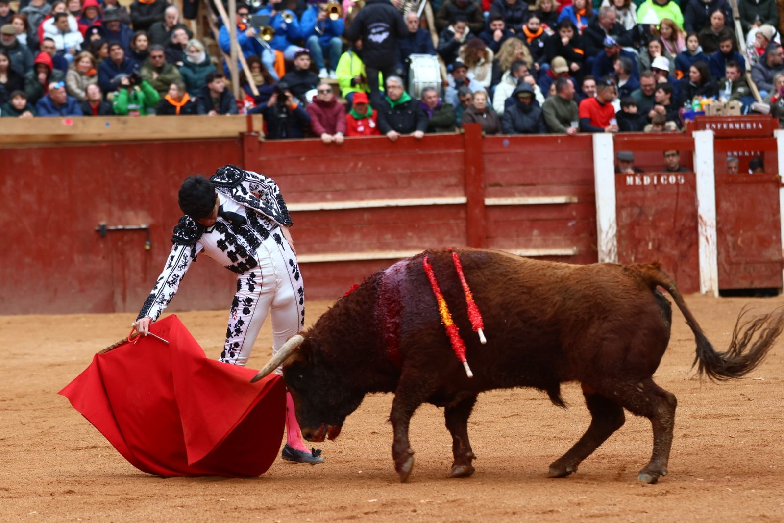 Novillada con picadores de lunes en el Carnaval del Toro de Ciudad Rodrigo 2026