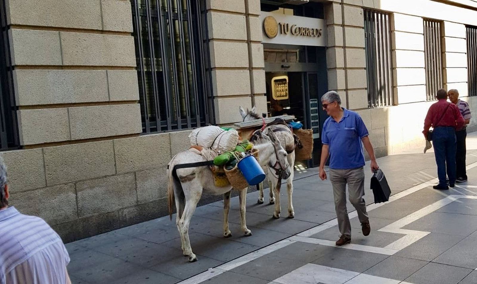 D02baa93 aeba 44d2 a2fa ee7fbab92e0a