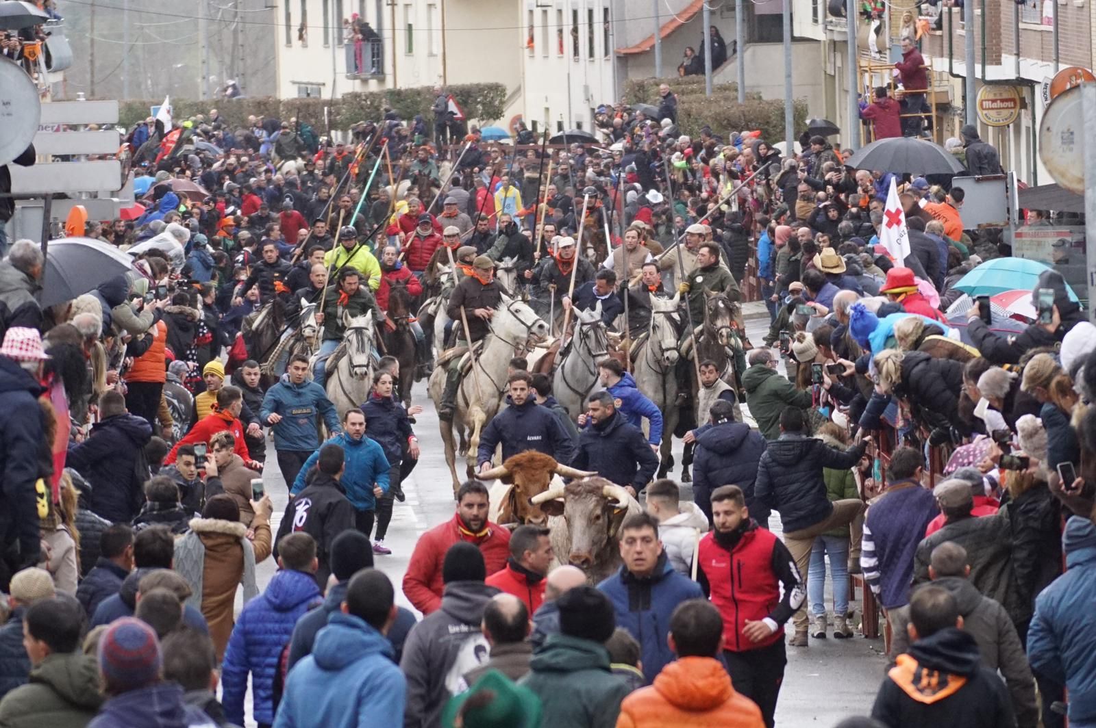 whatsapp-image-2024-02-11-at-11-48-49