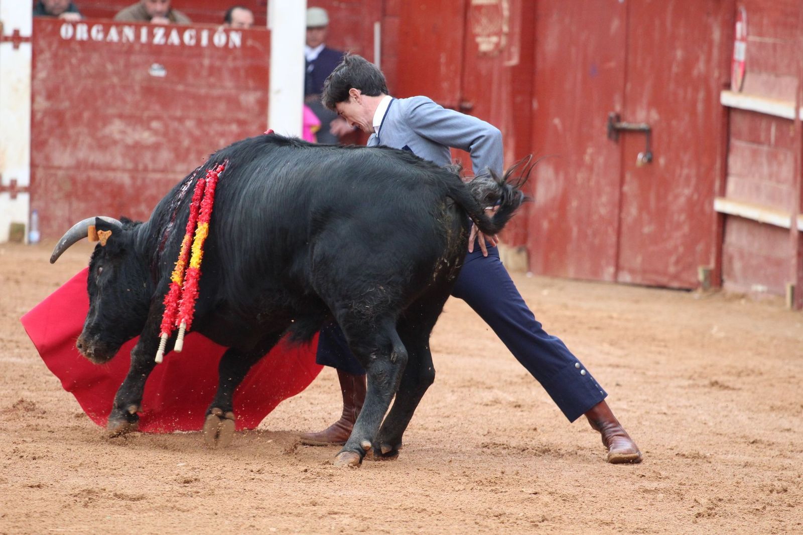 Festival taurino Capea, Aguado, Ortega y Diego Mateos en Ciudad Rodrigo
