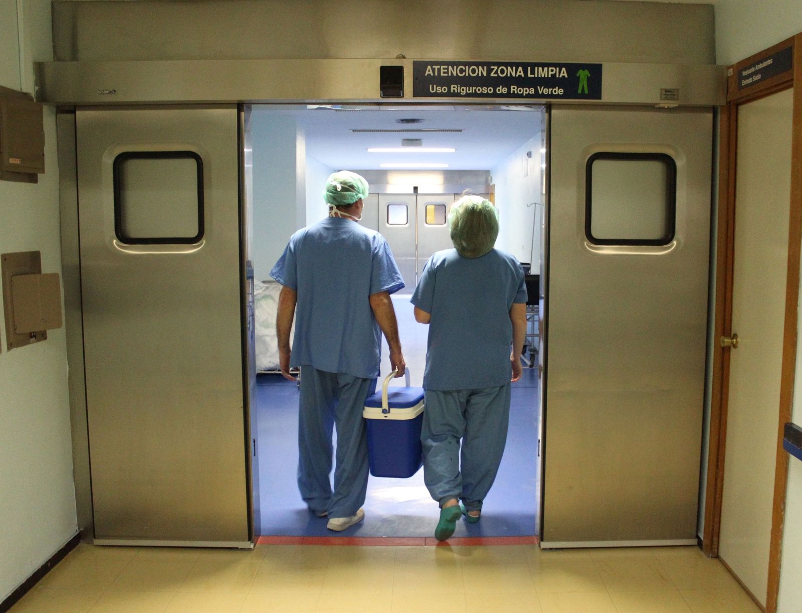 Transplante.  Foto de archivo.