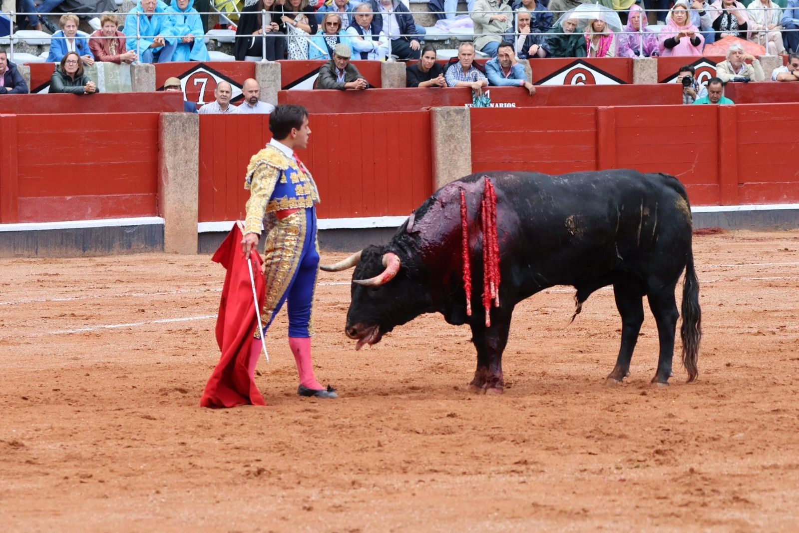 20230915174816-img-3998