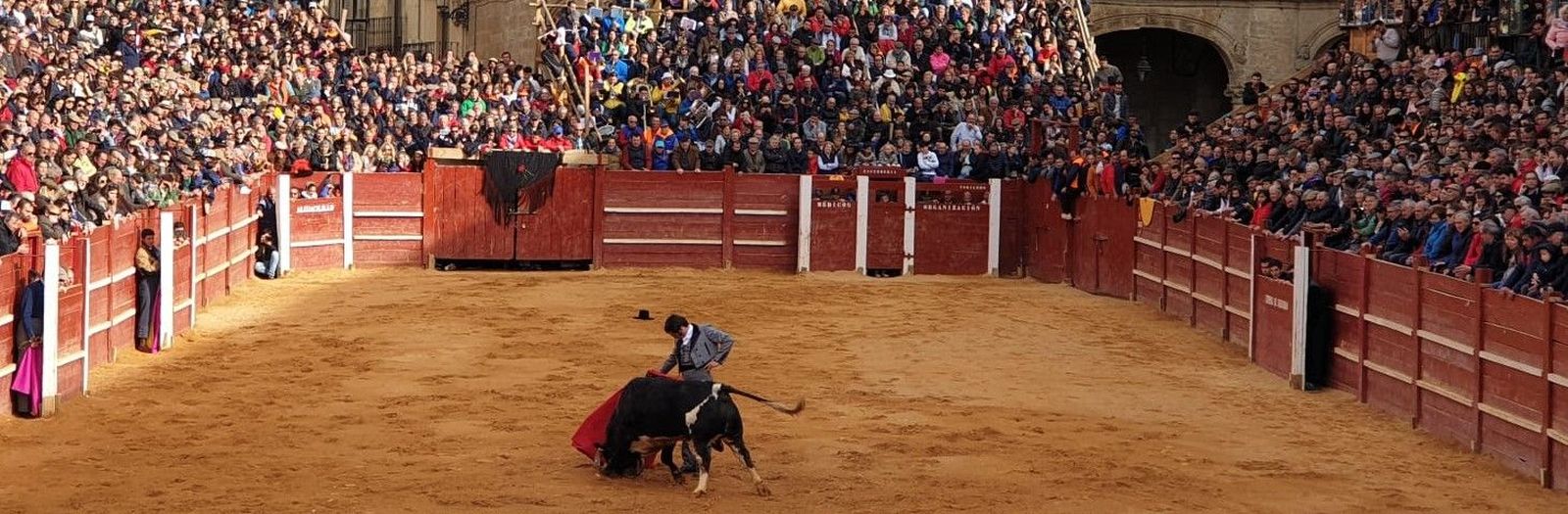 Morante de la Puebla toreando un toro de Francisco Galache en el Carnaval del Toro de Ciudad Rodrigo