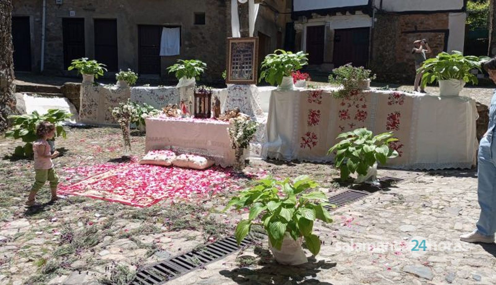 Procesión tradicional del Corpus y ofertorio en La Alberca, domingo, 2 de junio de 2024 (82)