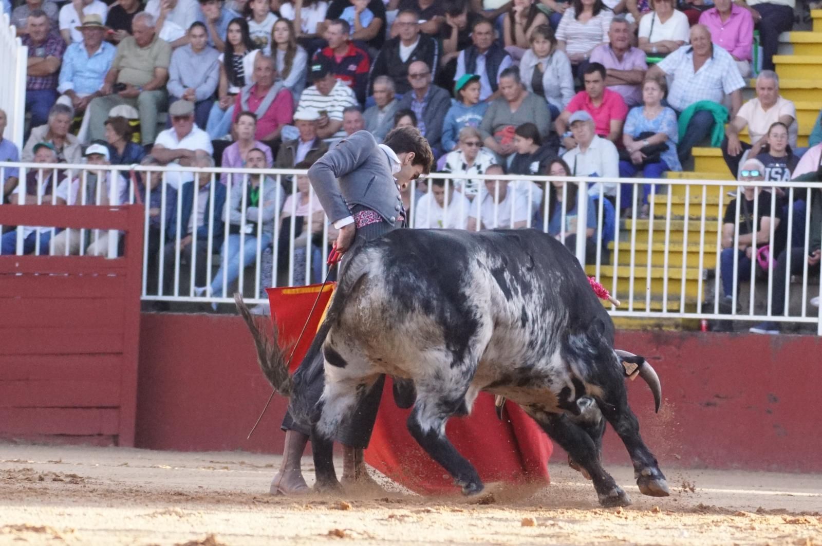 whatsapp-image-2024-09-07-at-20-48-36-4