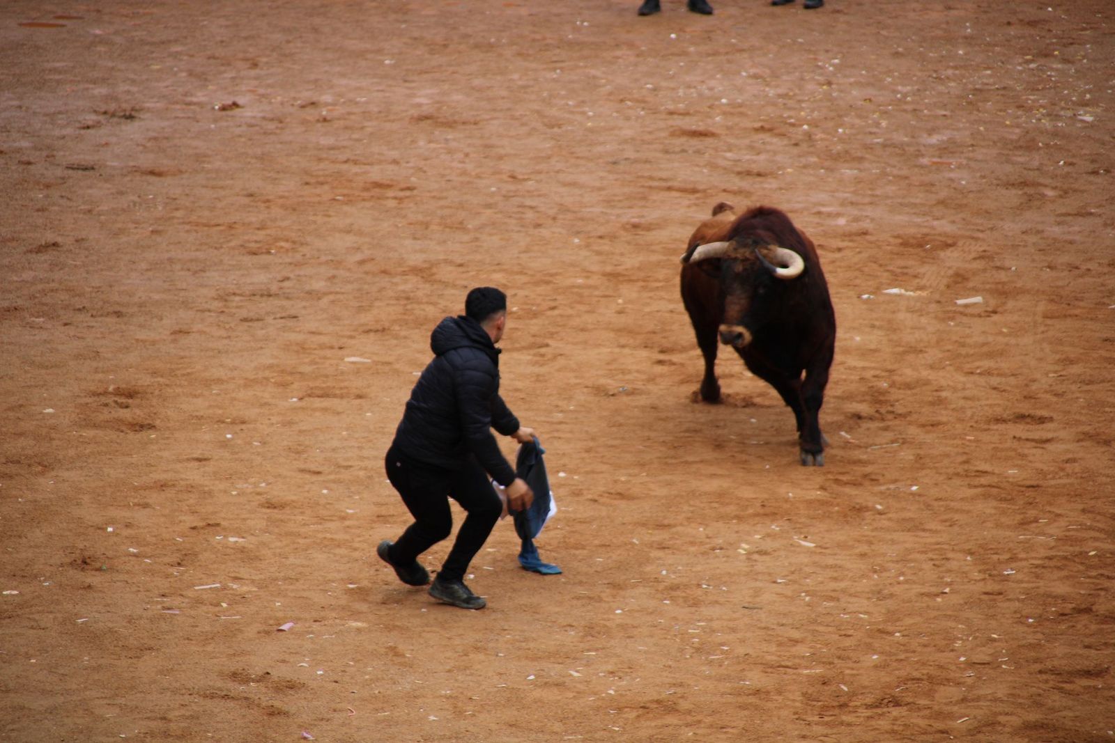 encierro-urbano-martes-de-carnaval-ciudad-rodrigo-2025-16