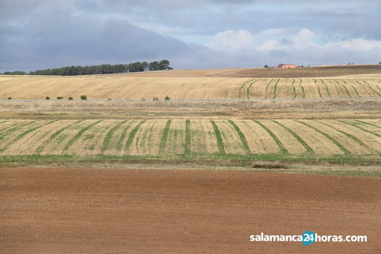 Campo septiembre (5)