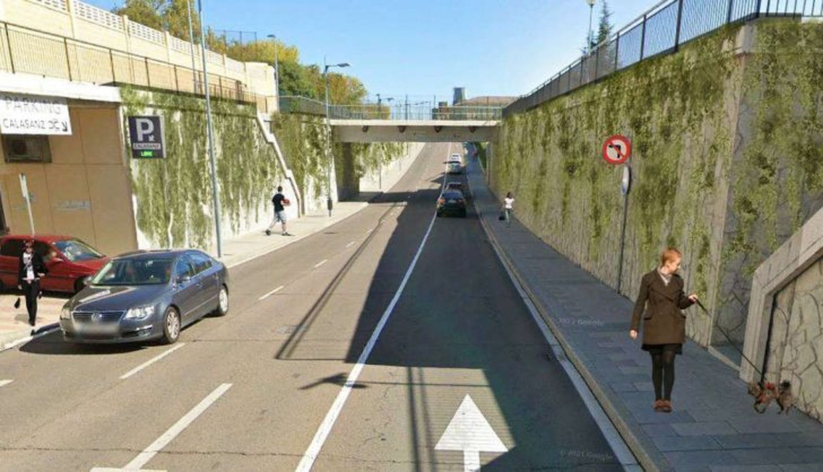 Avenia de la Aldehuela con plantas colgantes