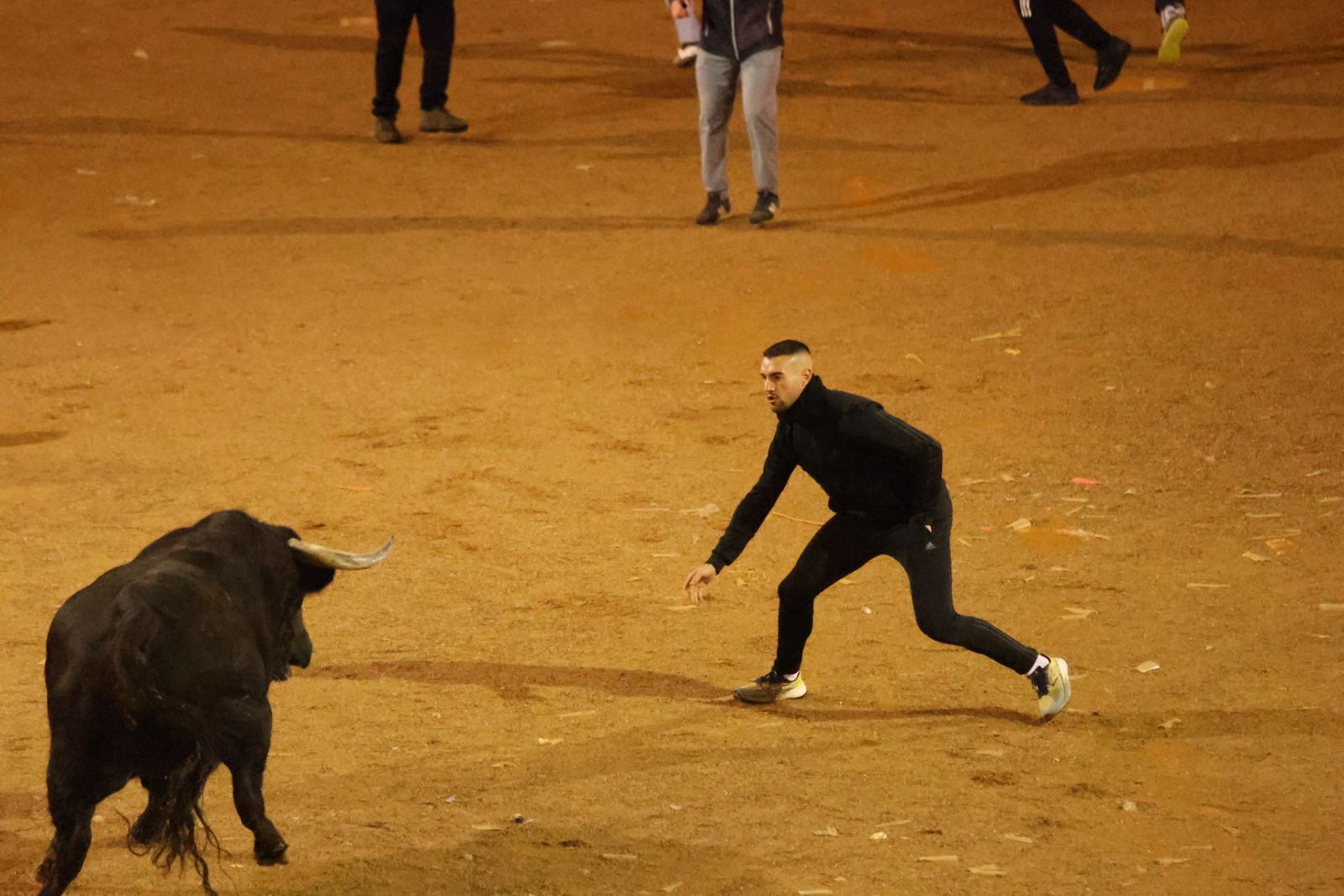 Capea Nocturna del Viernes en Ciudad Rodrigo