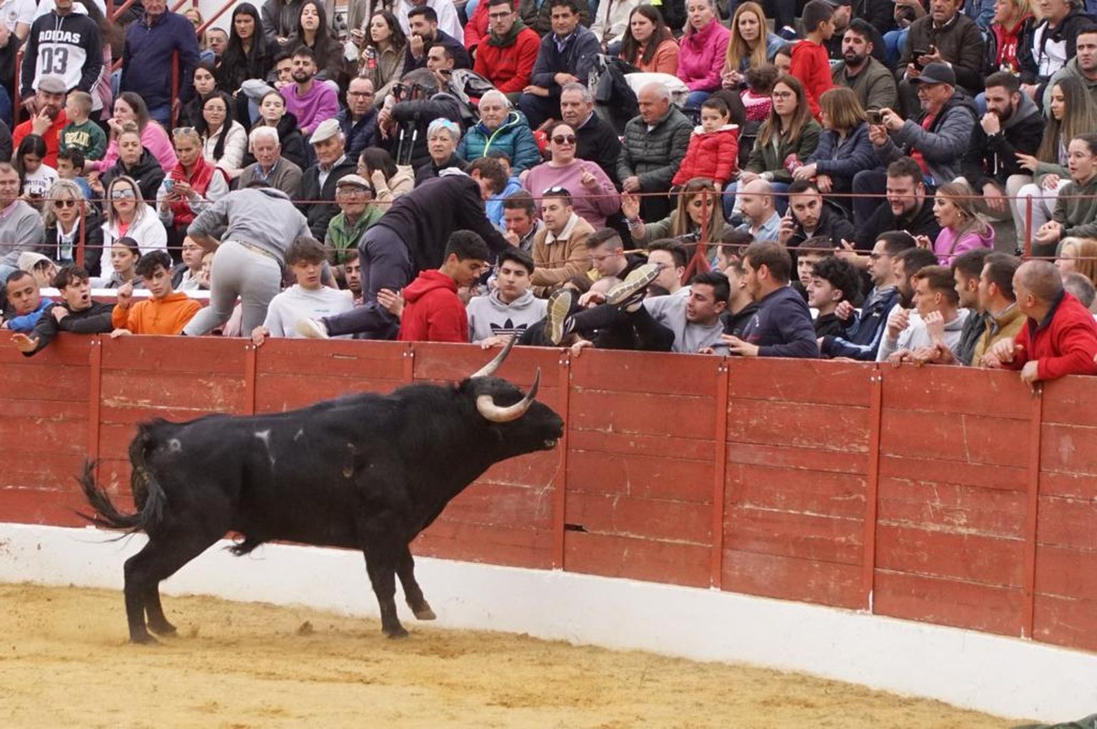 ambiente-y-participacion-durante-el-toro-del-voto-en-villoria-suelta-de-dos-toros-del-cajon-foto-juanes-71