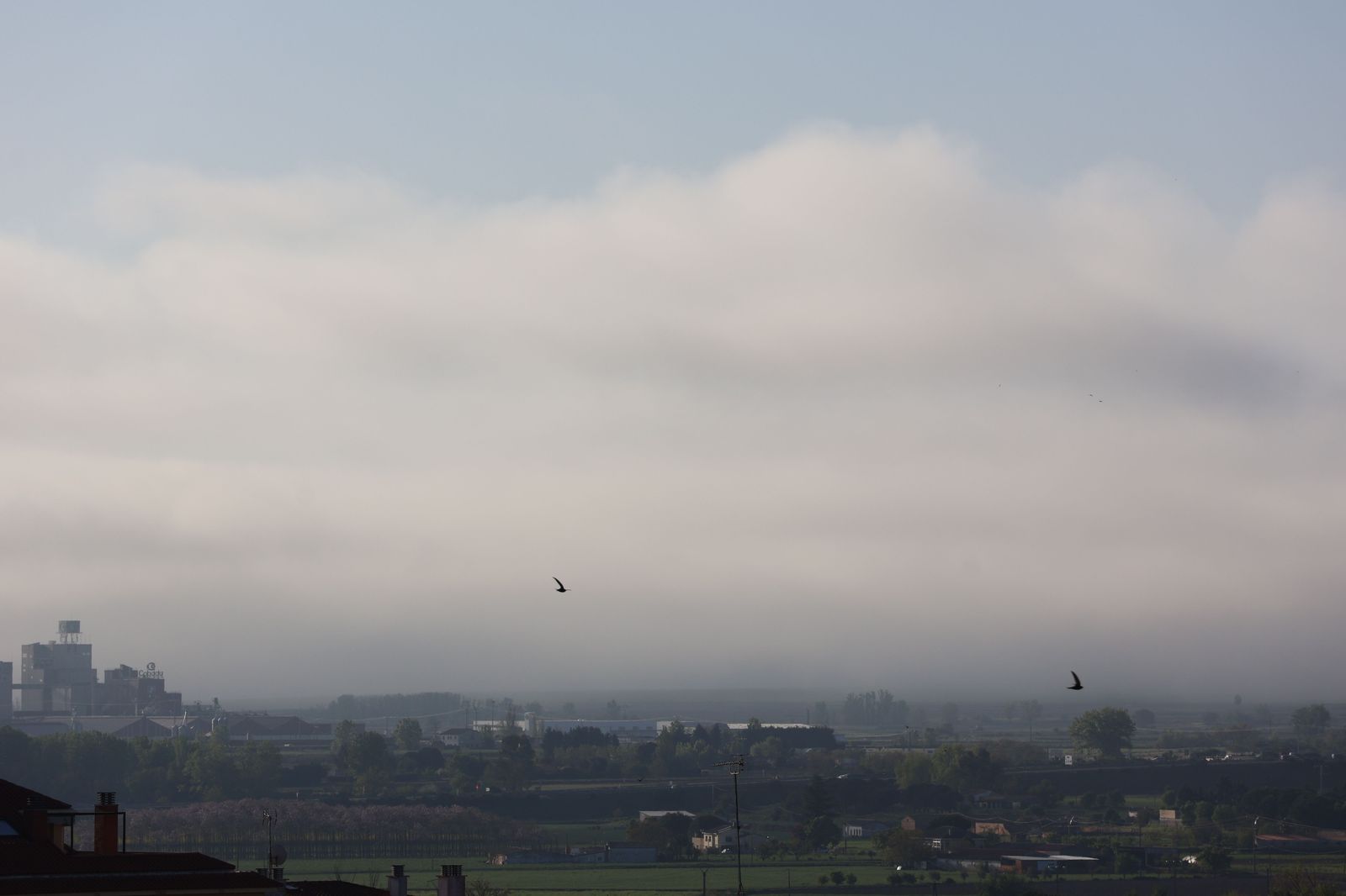 La niebla, visible este jueves desde Zamora capital