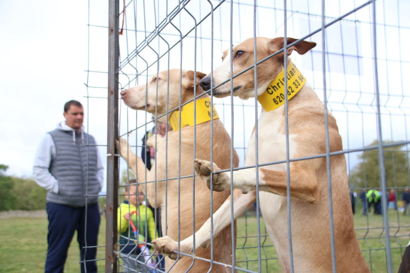 20240501103904-img-2945