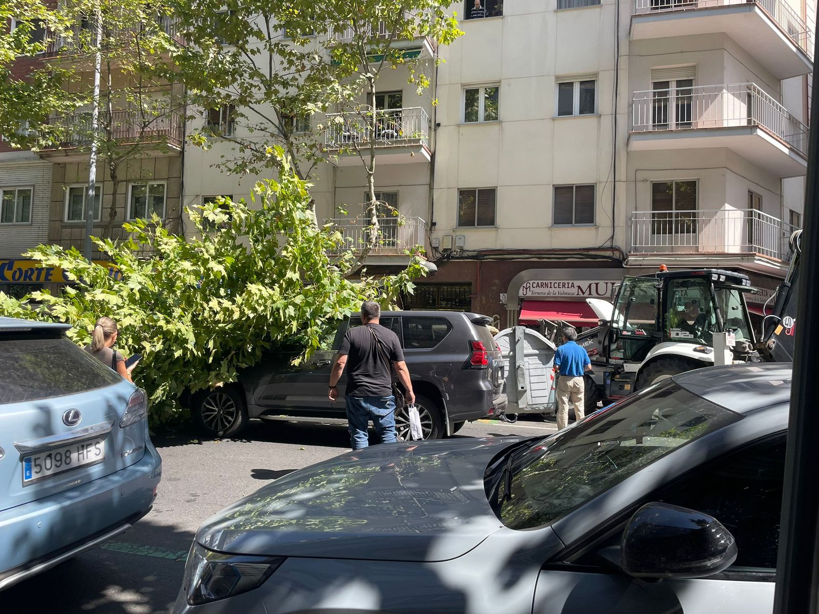 Un árbol cae sobre varios coches en Torres Villarroel
