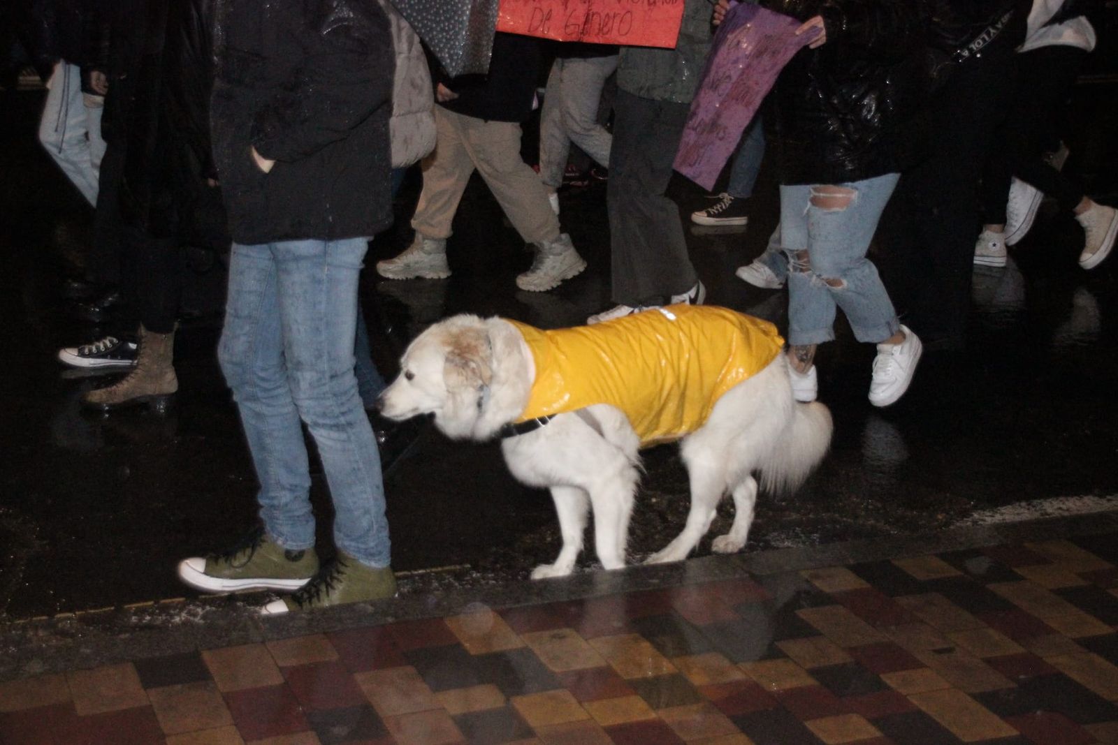 manifestacion-8m-2023-en-salamanca-fotos-andrea-m-30