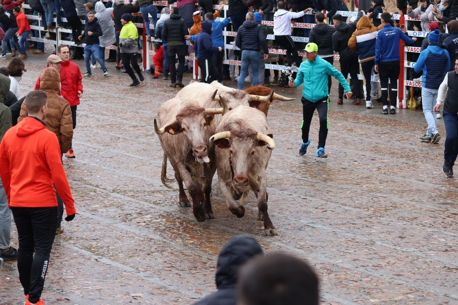 20240211113318-img-6082