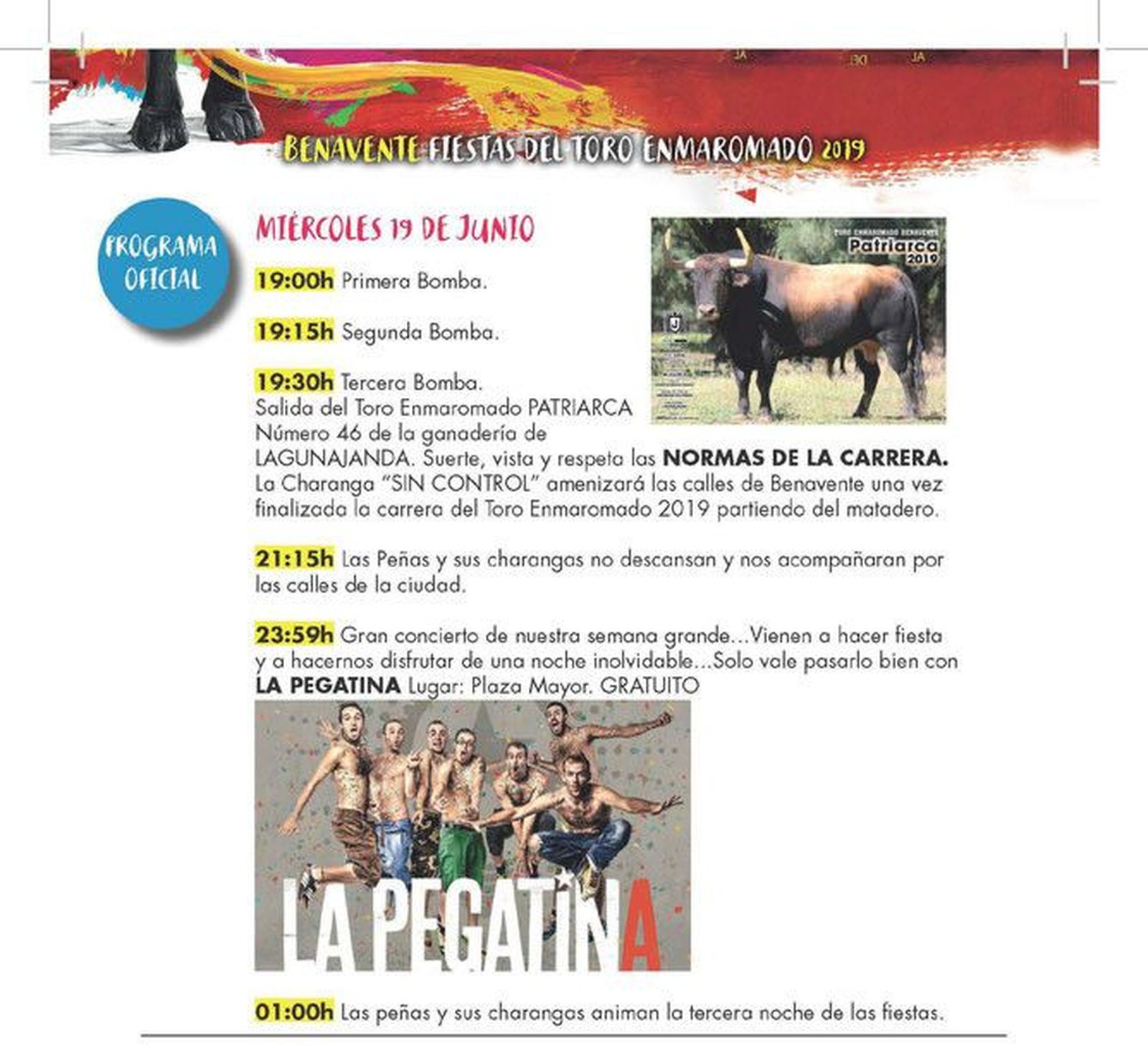 Fiestas del toro enmaromado en benavente (1)