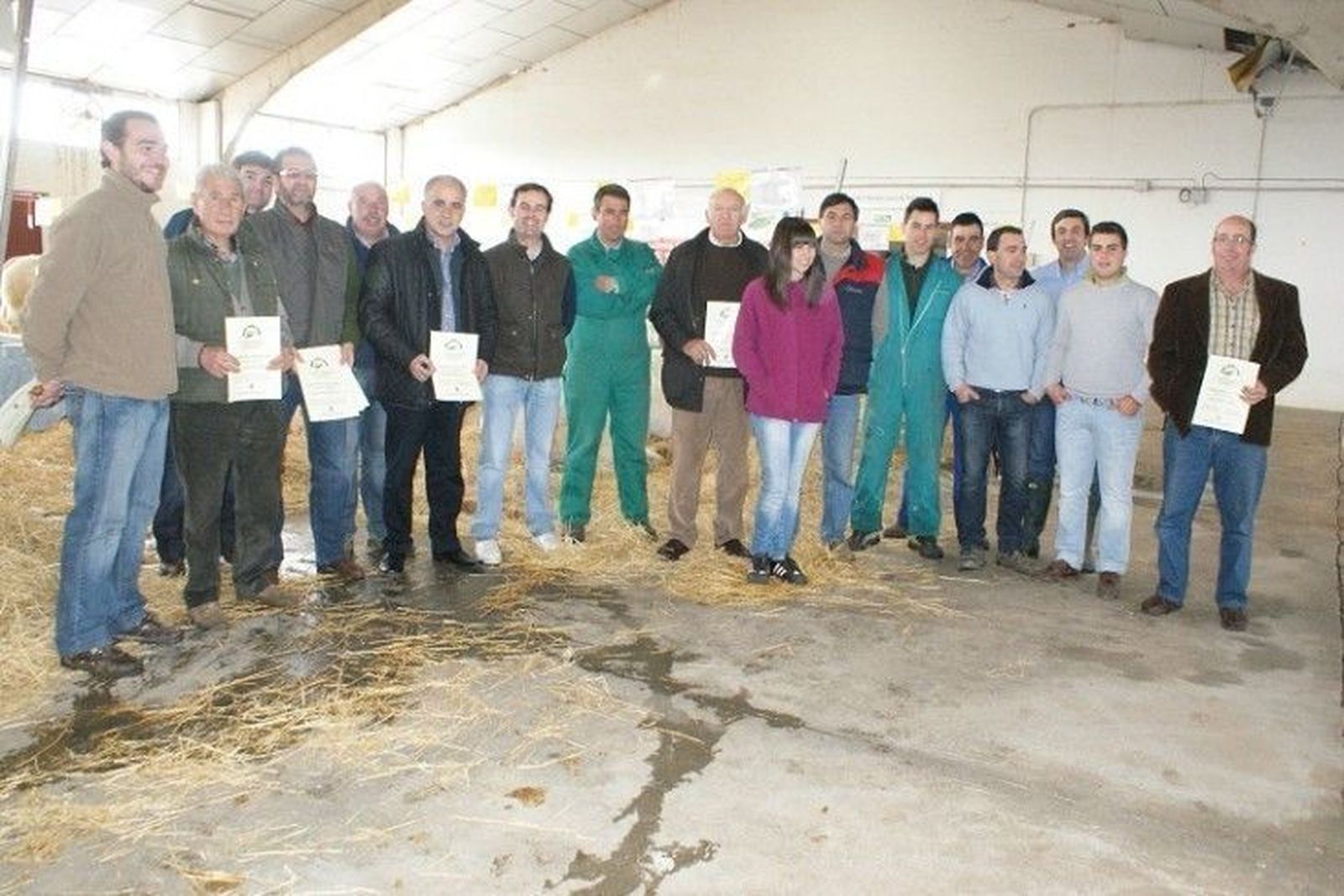 La exposición y venta libre de raza charolesa presenta 50 machos y hembras