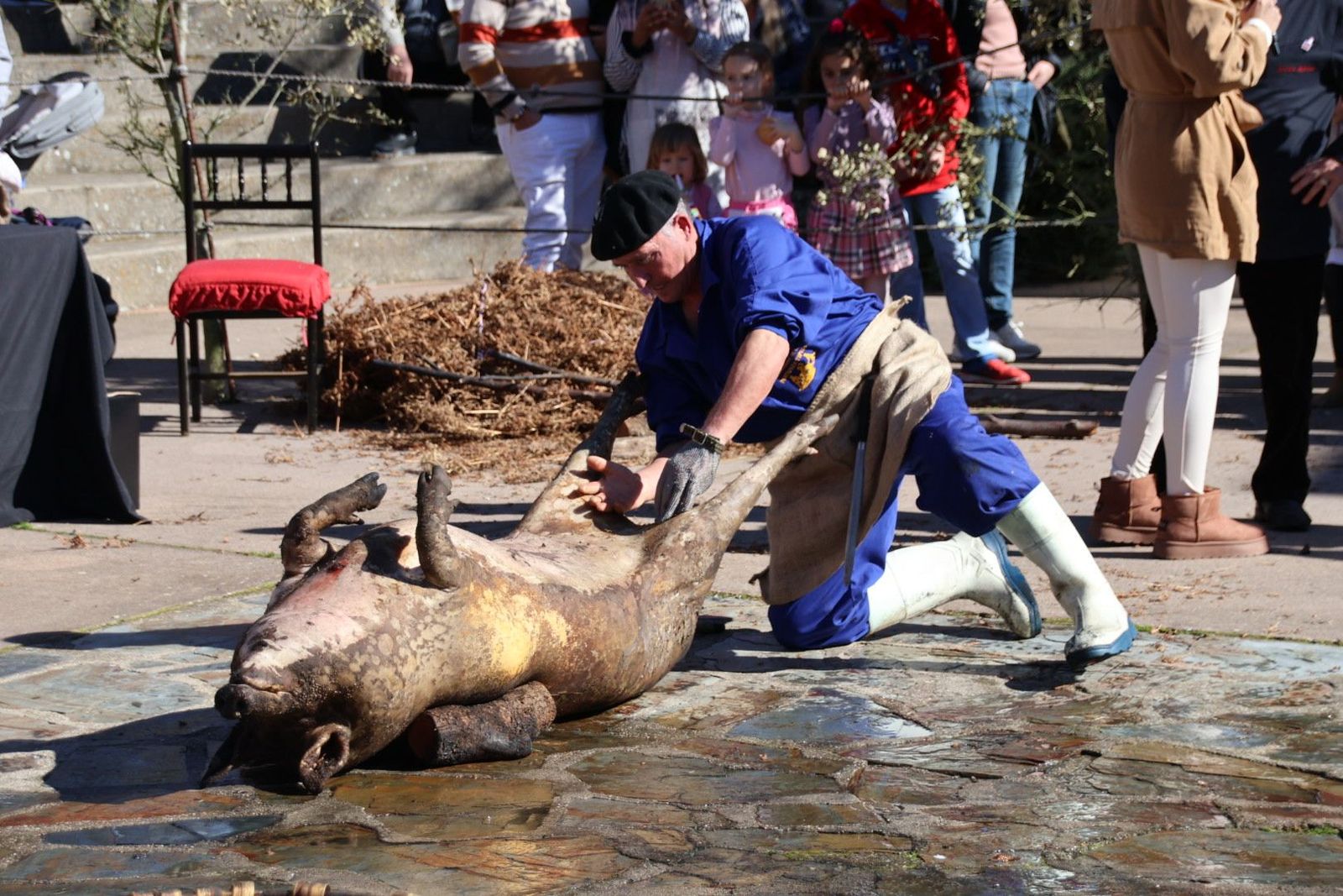 20240203133119-img-4500