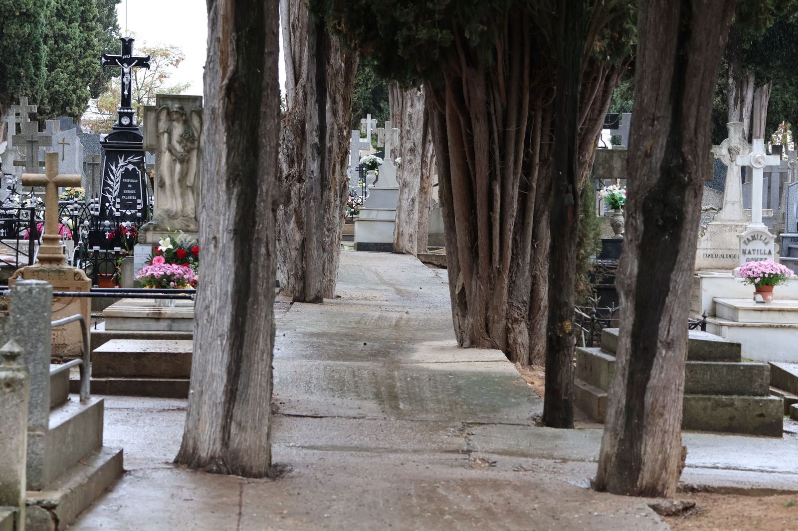 GALERÍA | La lluvia no detiene la tradición: los zamoranos acuden al cementerio para recordar a sus fallecidos