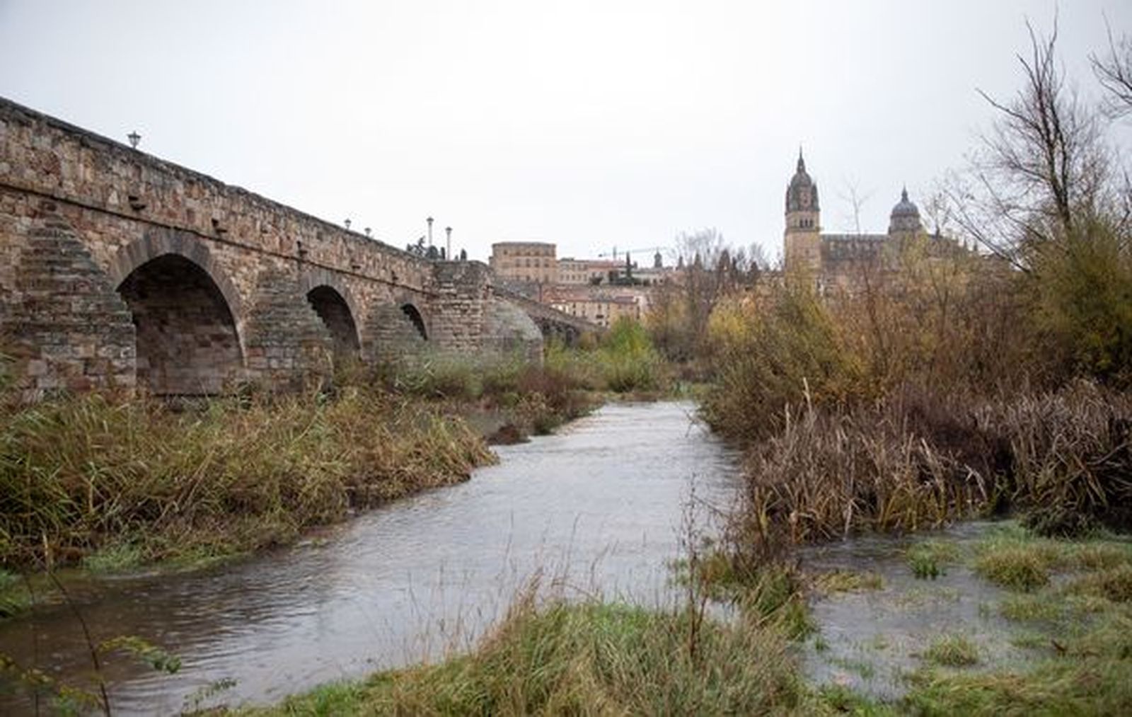 Salamanca. Foto ICAL