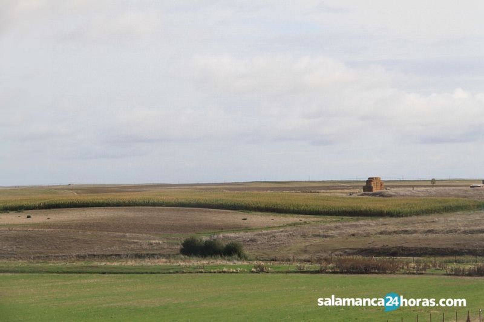 Campo septiembre (2)