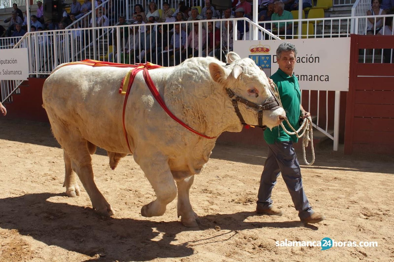 Subasta de ganado Salamaq 2018 (90)
