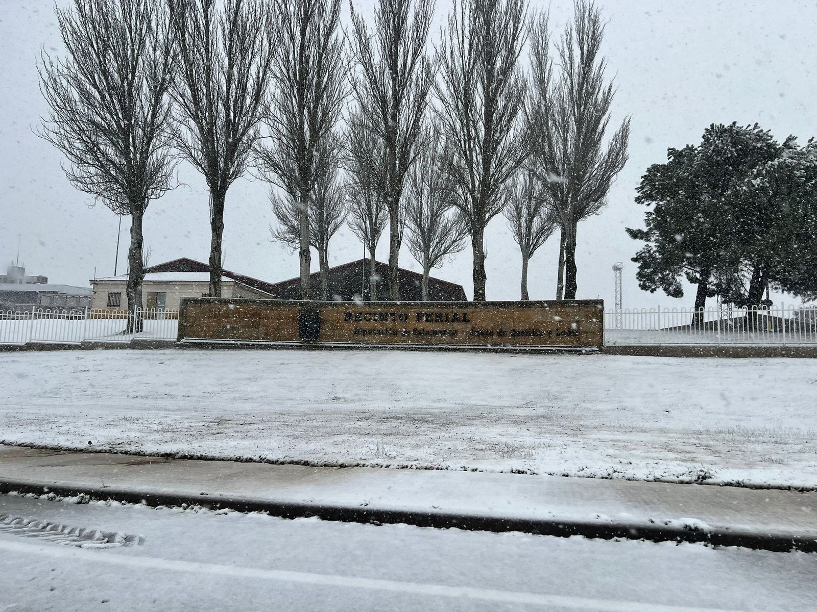 Nevada en Salamanca 28 de enero 2026