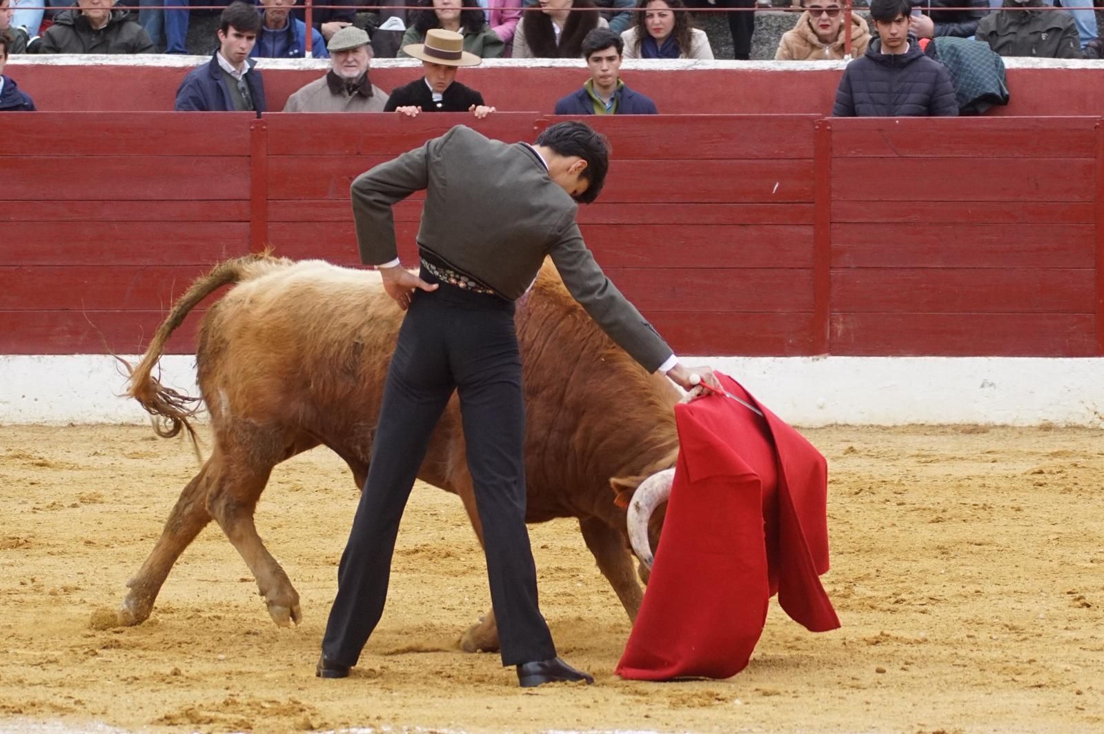 Festival taurino en Villoria