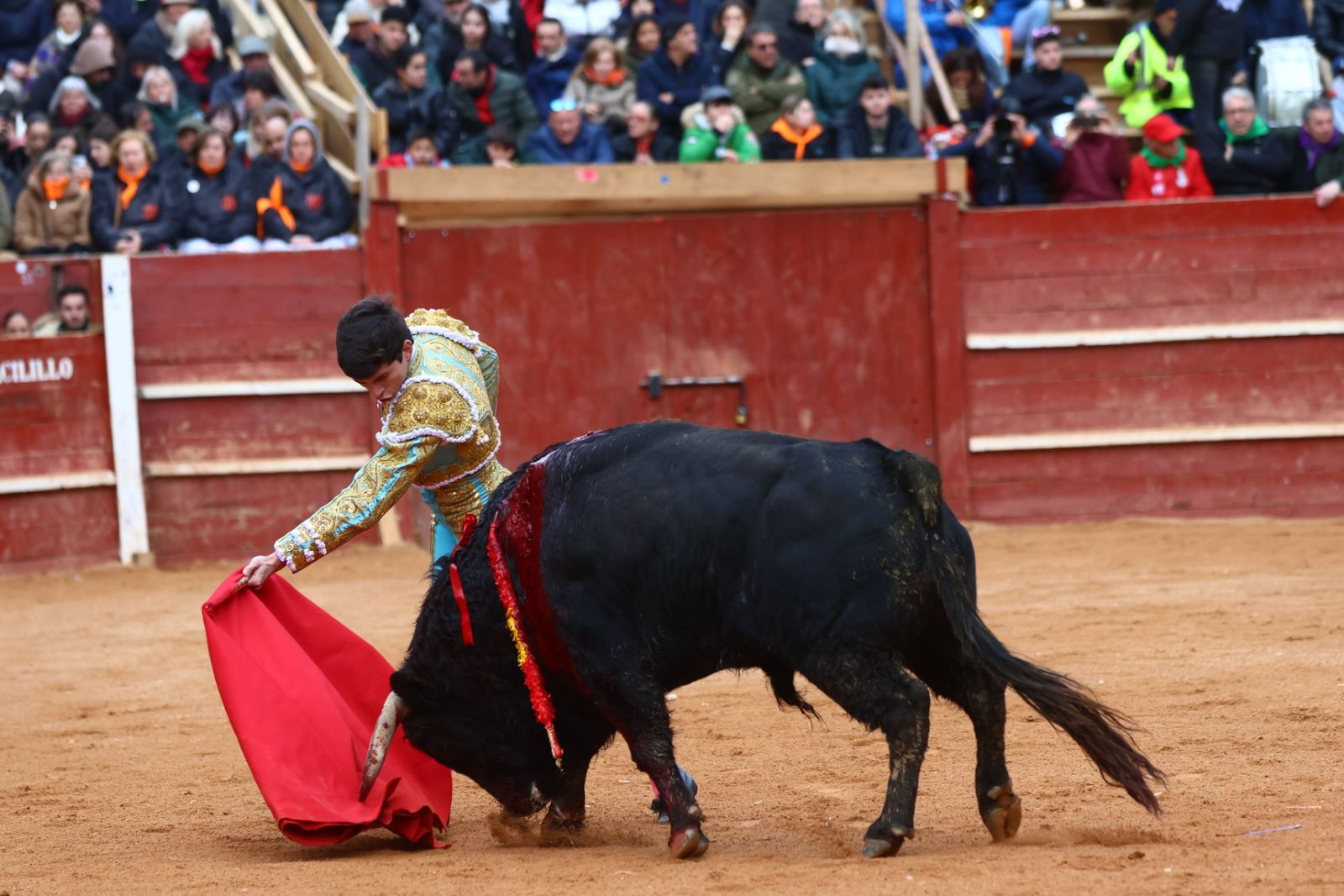 Novillada con picadores de lunes en el Carnaval del Toro de Ciudad Rodrigo 2026