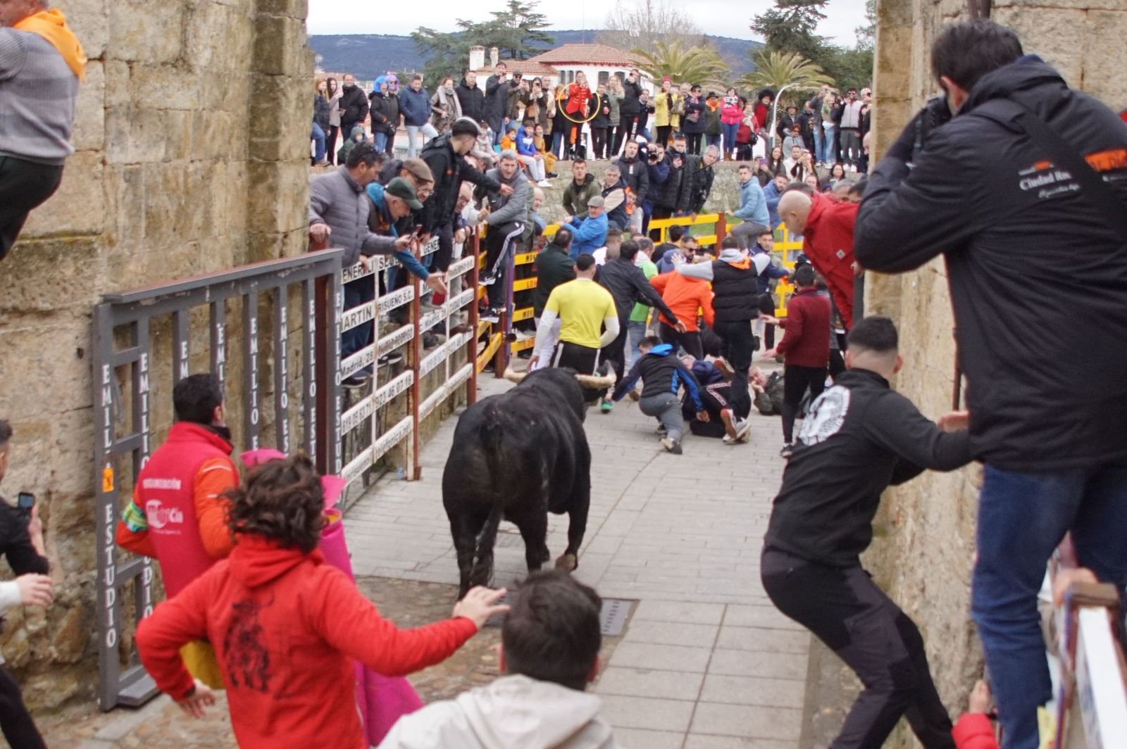 El encierro de Lunes de Carnaval en Ciudad Rodrigo en imágenes