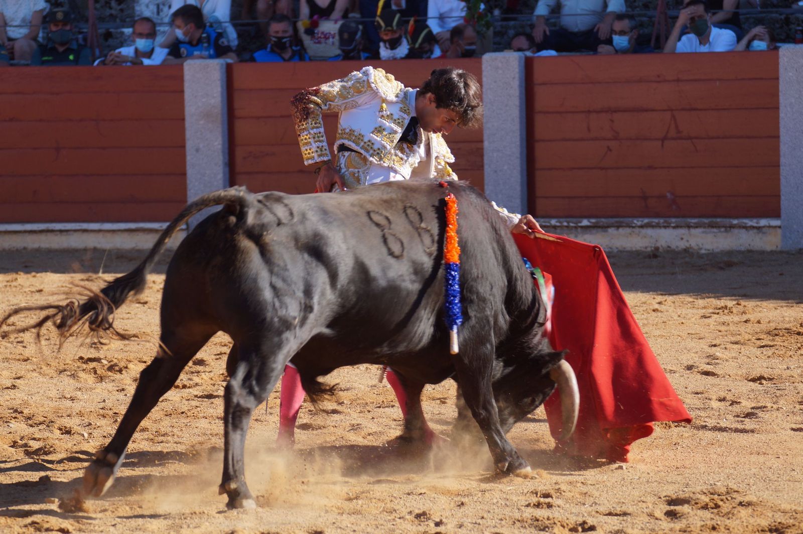 corrida-de-toros-en-guijuelo-21