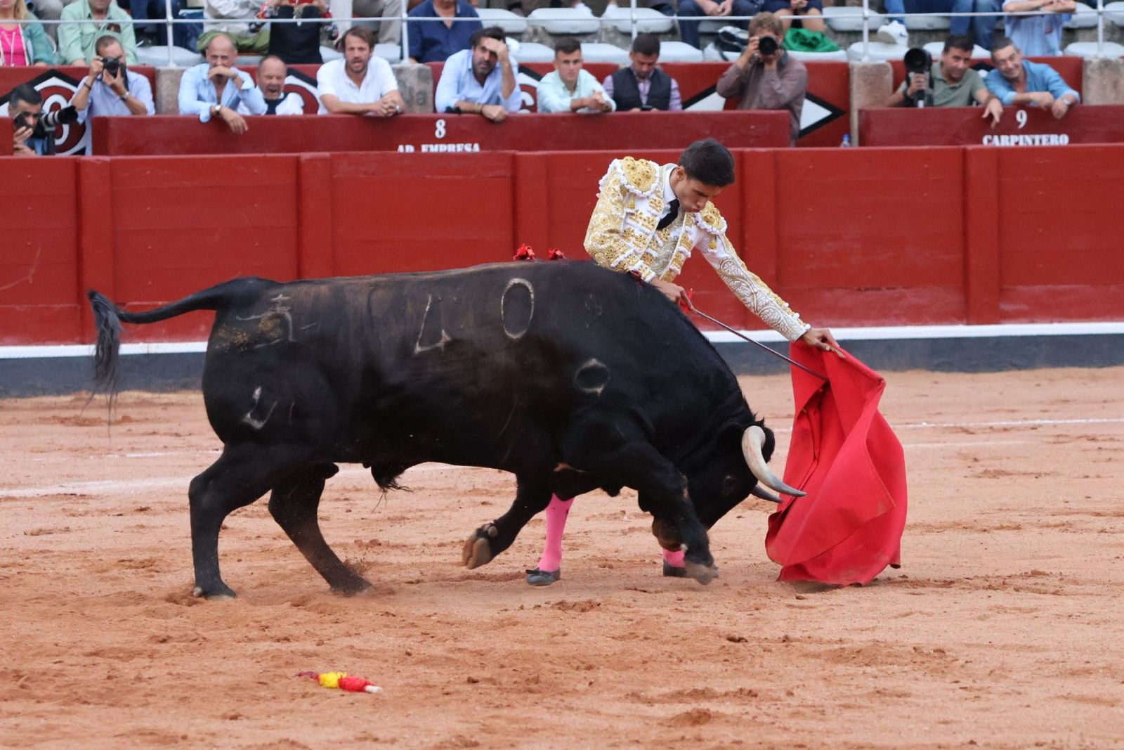 20230910192141-img-2290